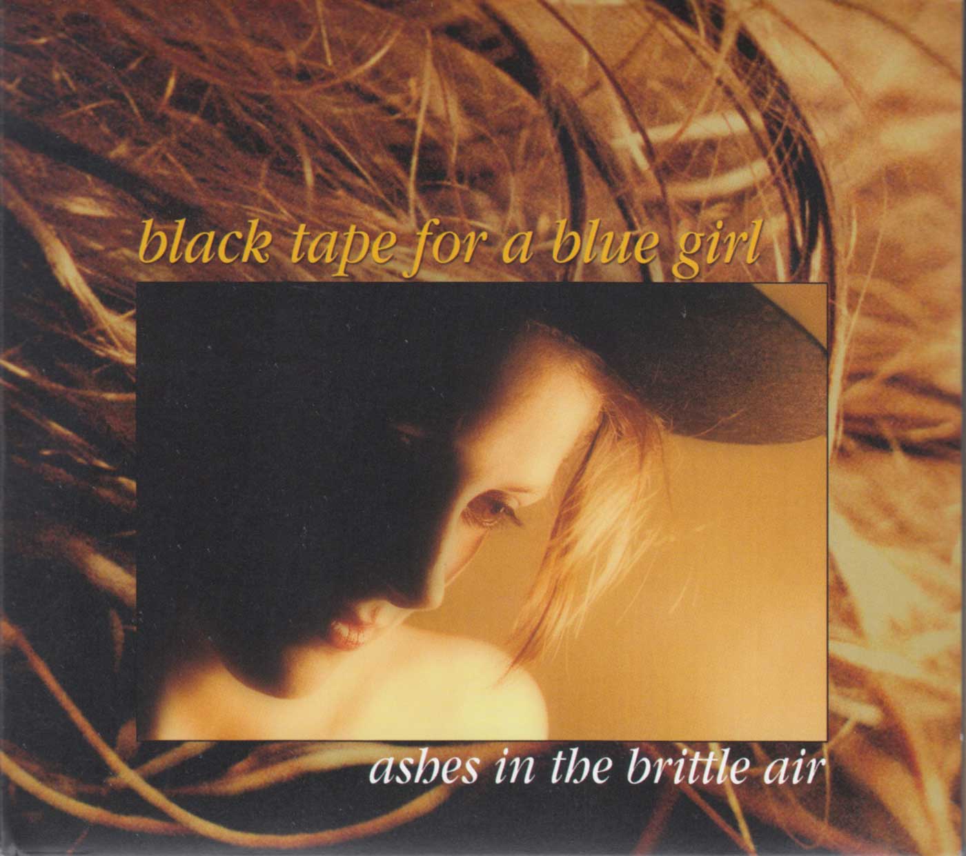 Ashes In The Brittle Air